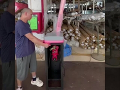 بوابة حاجز ذراع الرافعة لموقف سيارات HCW، آلية محرك بدون فرشاة بجهد 24 فولت تيار مستمر لبوابة أمان ذكية